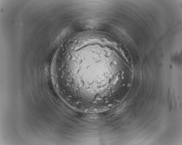 X0000068310127200604211214