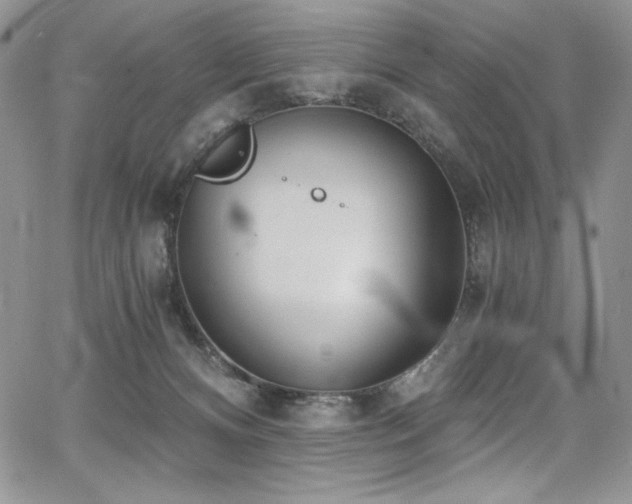 X0000068310128200604211214