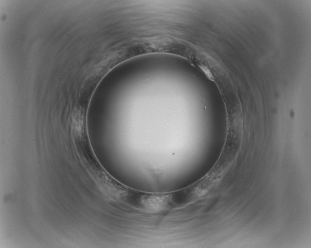 X0000068310129200604211214