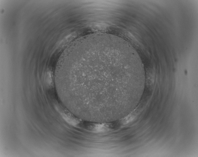 X0000068310130200604211214