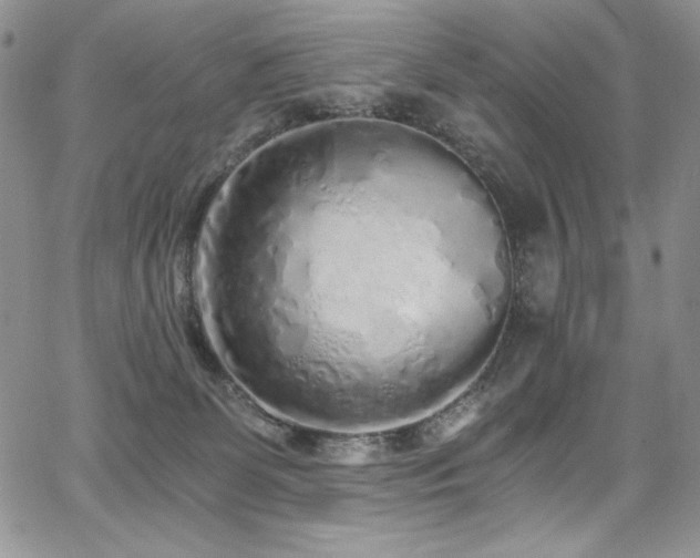 X0000068310131200604211214