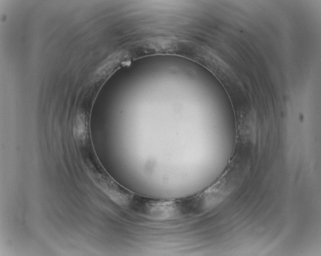 X0000068310132200604211214