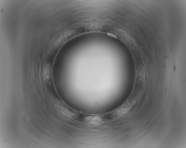 X0000068310133200604211214