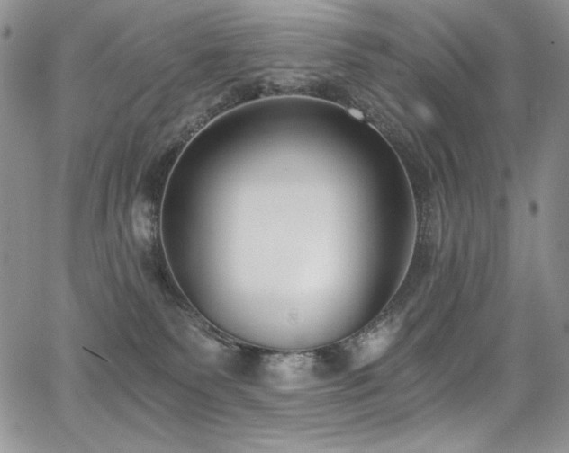 X0000068310135200604211214