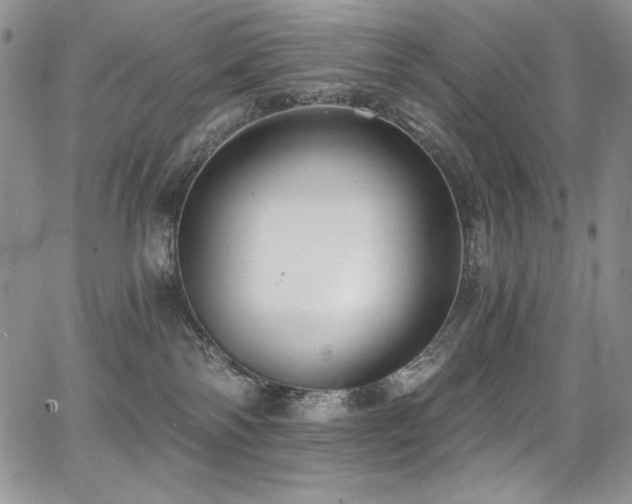 X0000068310138200604211214