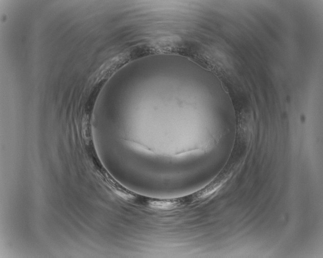 X0000068310139200604211214