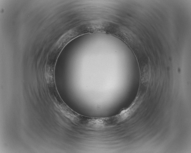 X0000068310140200604211214