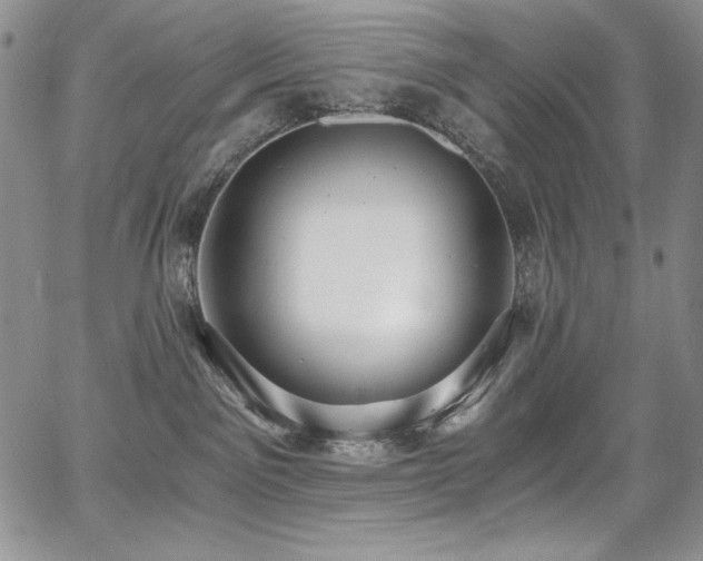 X0000068310141200604211214