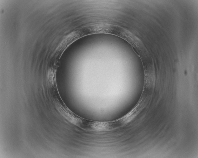 X0000068310142200604211213