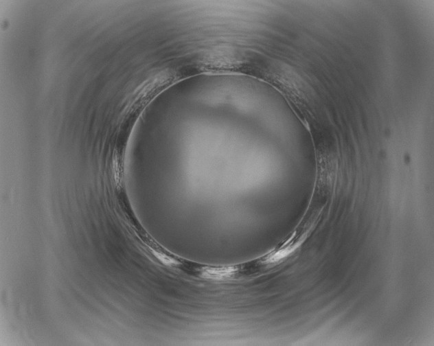 X0000068310143200604211213