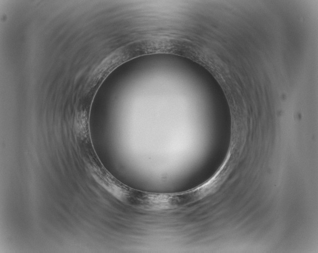 X0000068310144200604211213