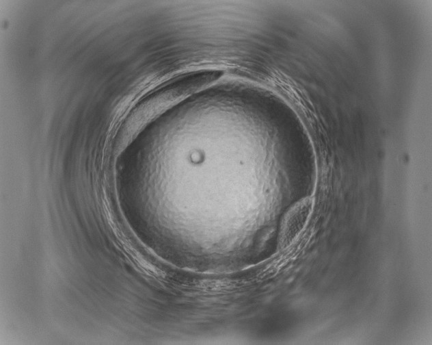 X0000068310145200604211213