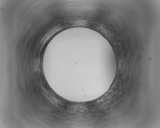 X0000068310146200604211213