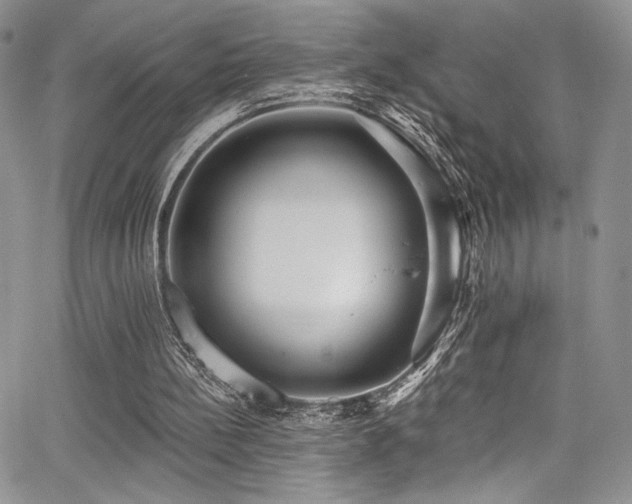 X0000068310148200604211213