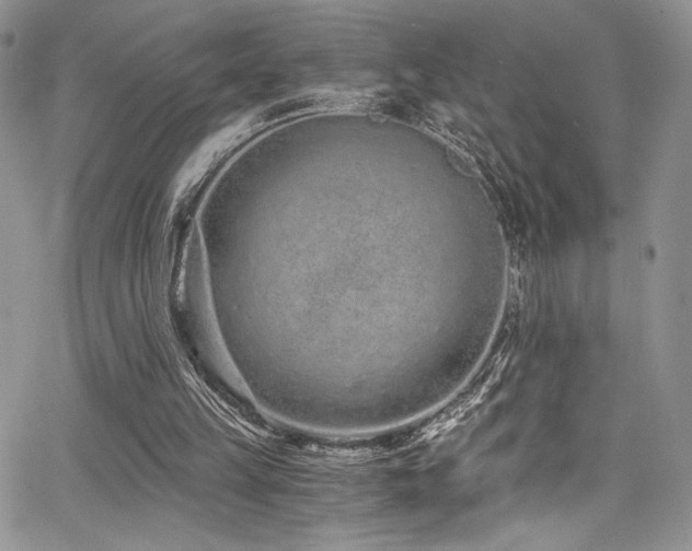 X0000068310149200604211213