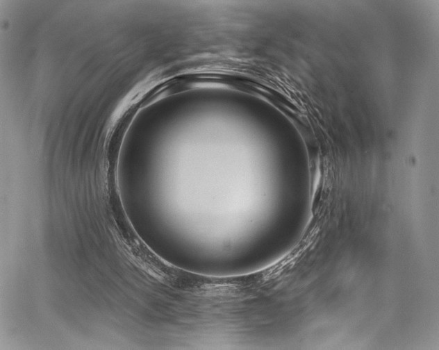 X0000068310150200604211213