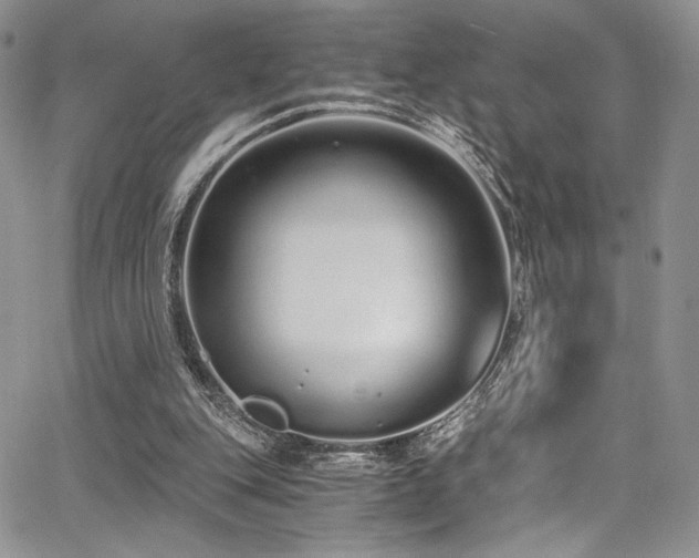 X0000068310151200604211213