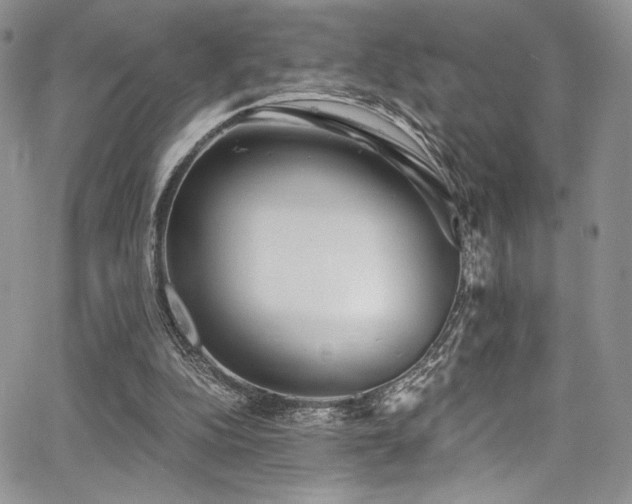 X0000068310152200604211213