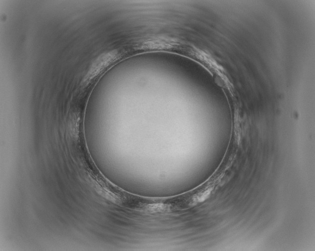 X0000068310153200604211213