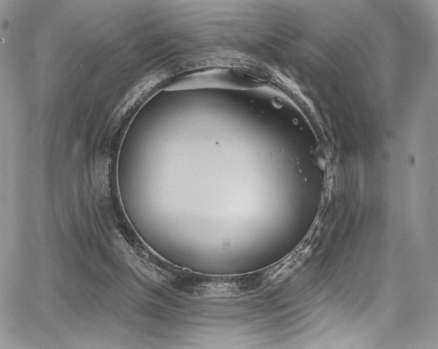 X0000068310154200604211213