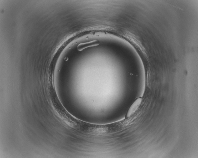 X0000068310156200604211213