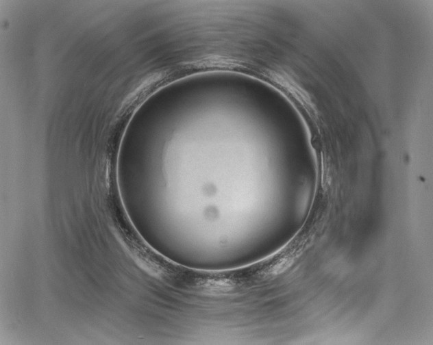 X0000068310157200604211213