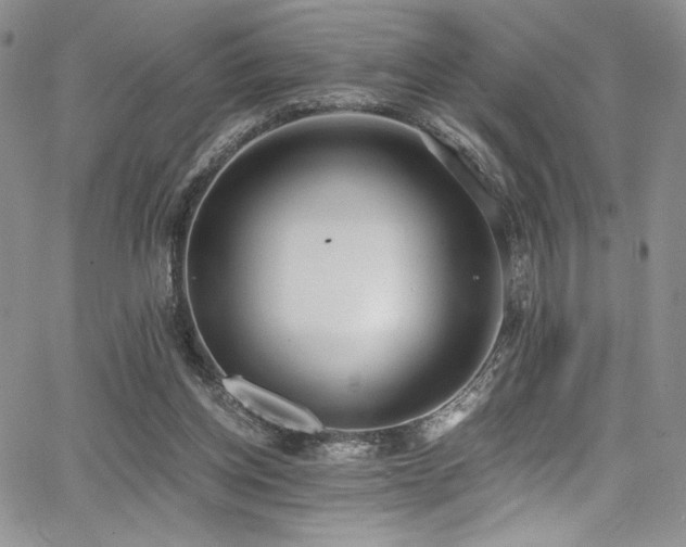 X0000068310158200604211213