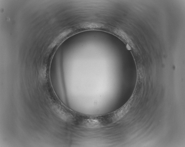 X0000068310159200604211213