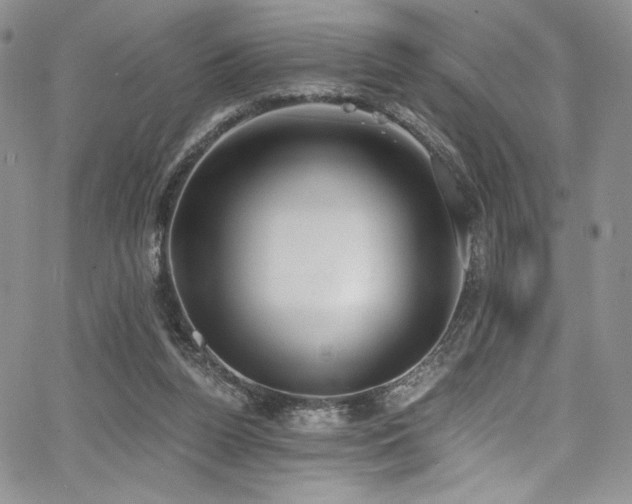 X0000068310160200604211213