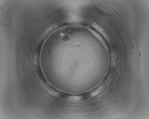 X0000068310161200604211213