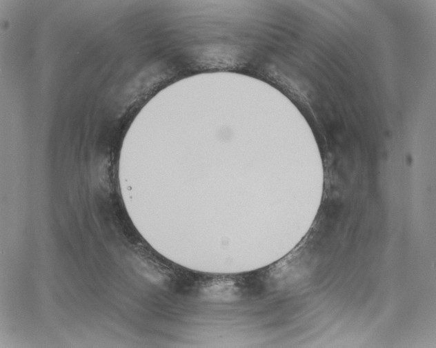 X0000068310162200604211213