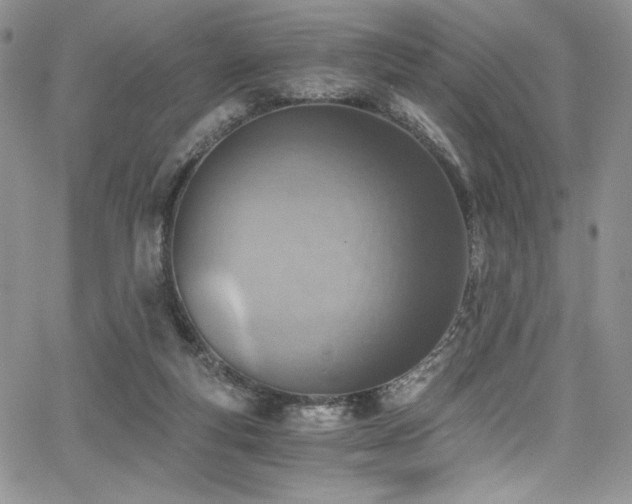 X0000068310163200604211213