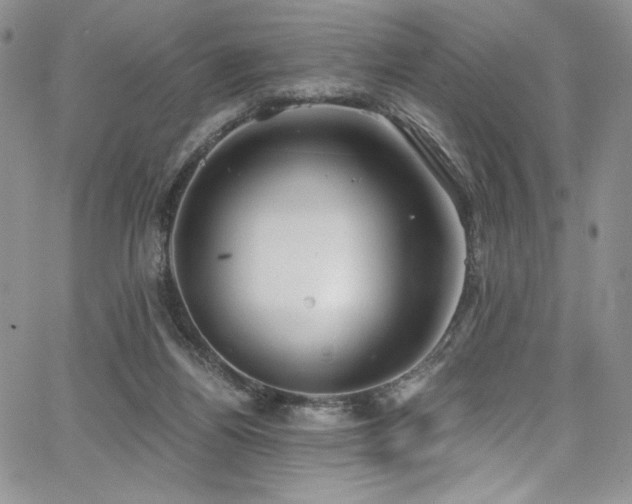 X0000068310164200604211213