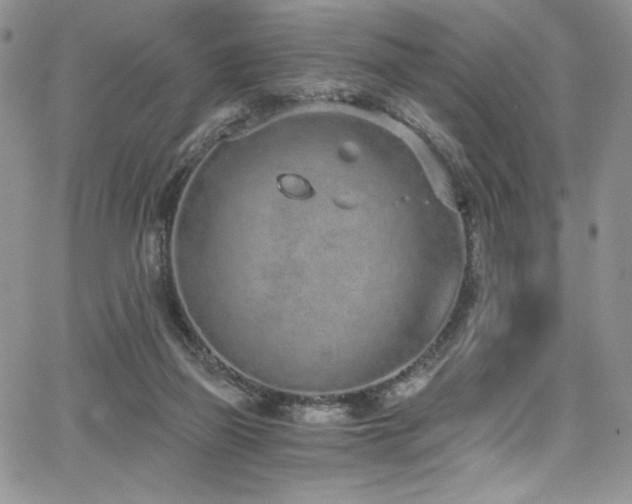 X0000068310165200604211213