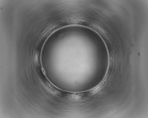 X0000068310166200604211213