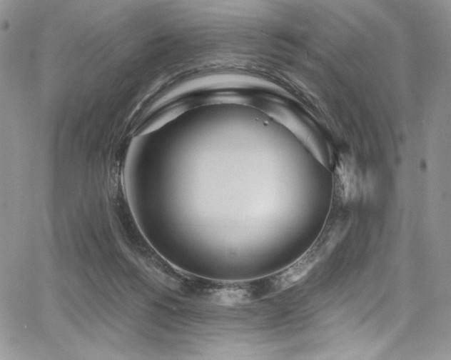 X0000068310168200604211213