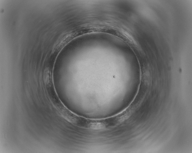 X0000068310169200604211213