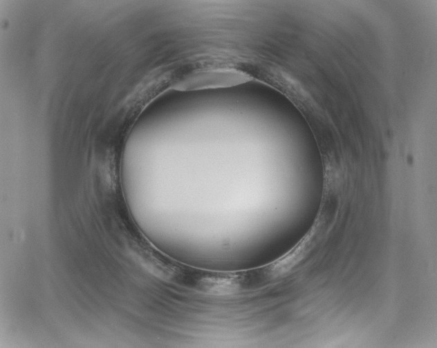 X0000068310170200604211213