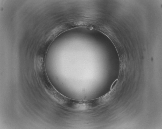 X0000068310171200604211213