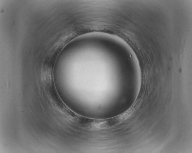 X0000068310172200604211213