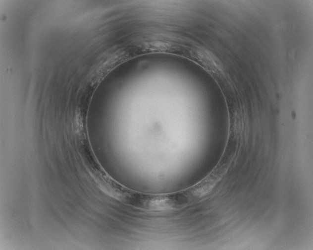 X0000068310173200604211213