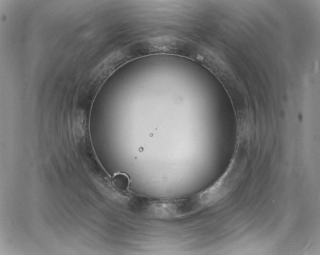 X0000068310174200604211213