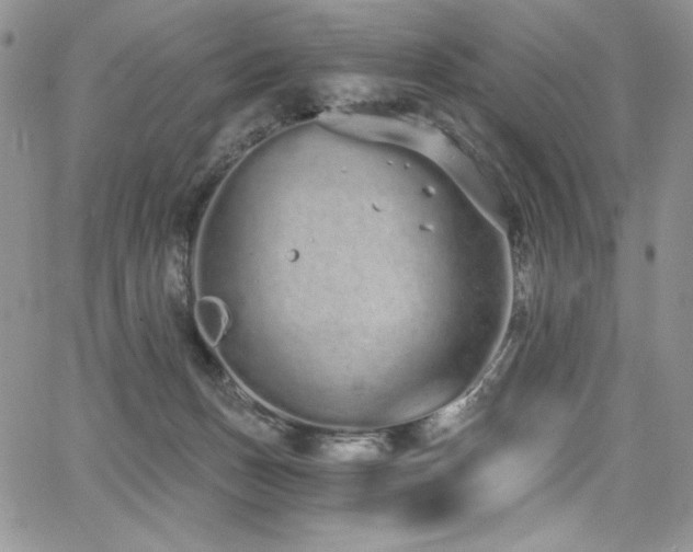 X0000068310175200604211213