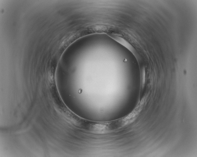 X0000068310176200604211213