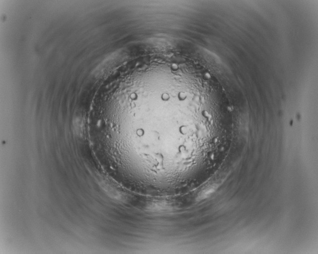 X0000068310177200604211213