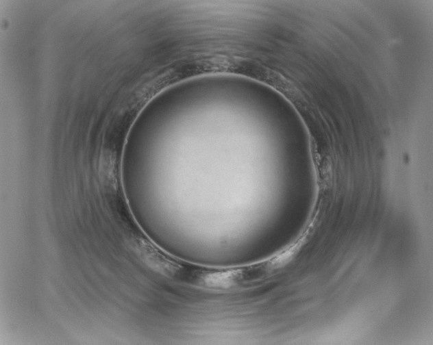 X0000068310178200604211213