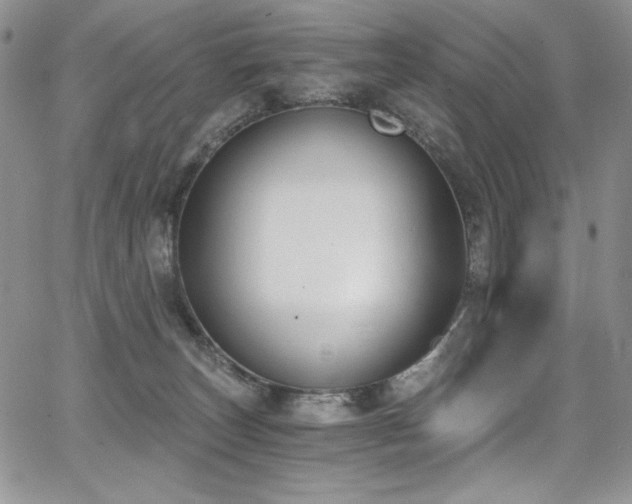 X0000068310179200604211213