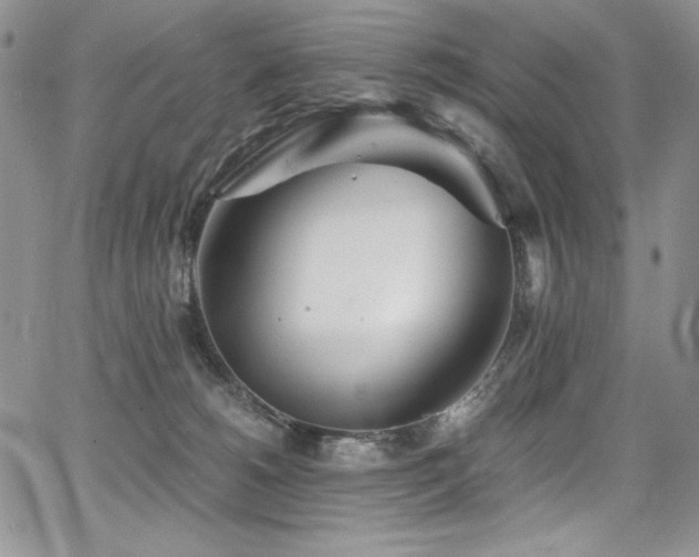 X0000068310180200604211213