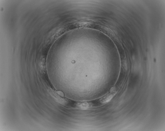 X0000068310181200604211213