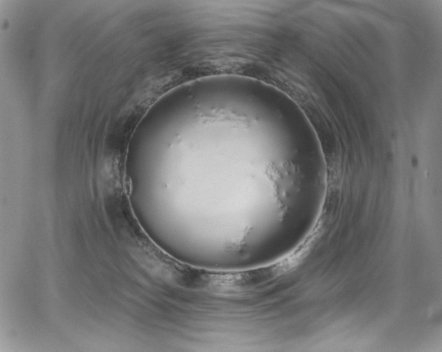 X0000068310182200604211213